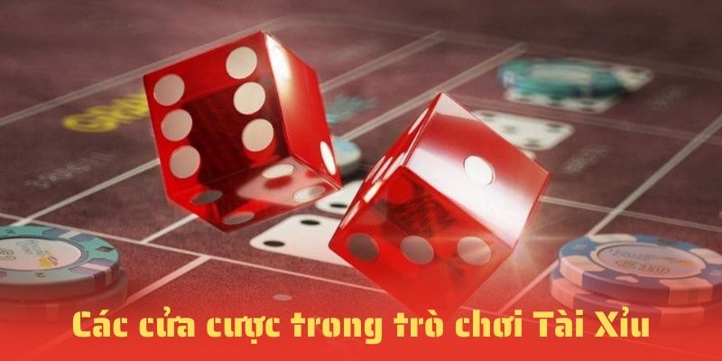 Tài Xỉu 23WIN- các cửa cược 